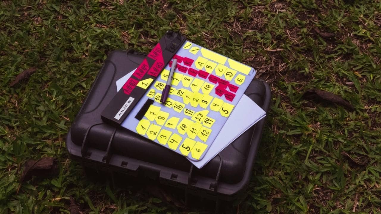 lawn fertilization schedule