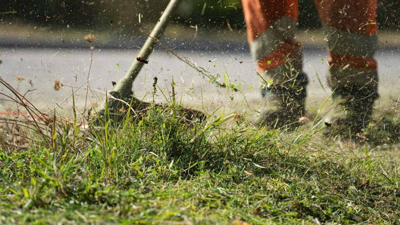 mowing lawn close up