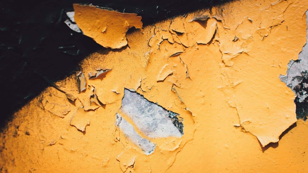 image credit: Pexels.