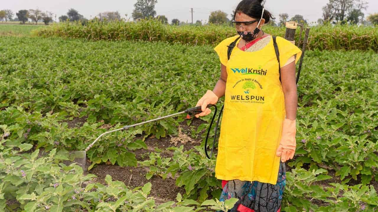 pesticide safety gear