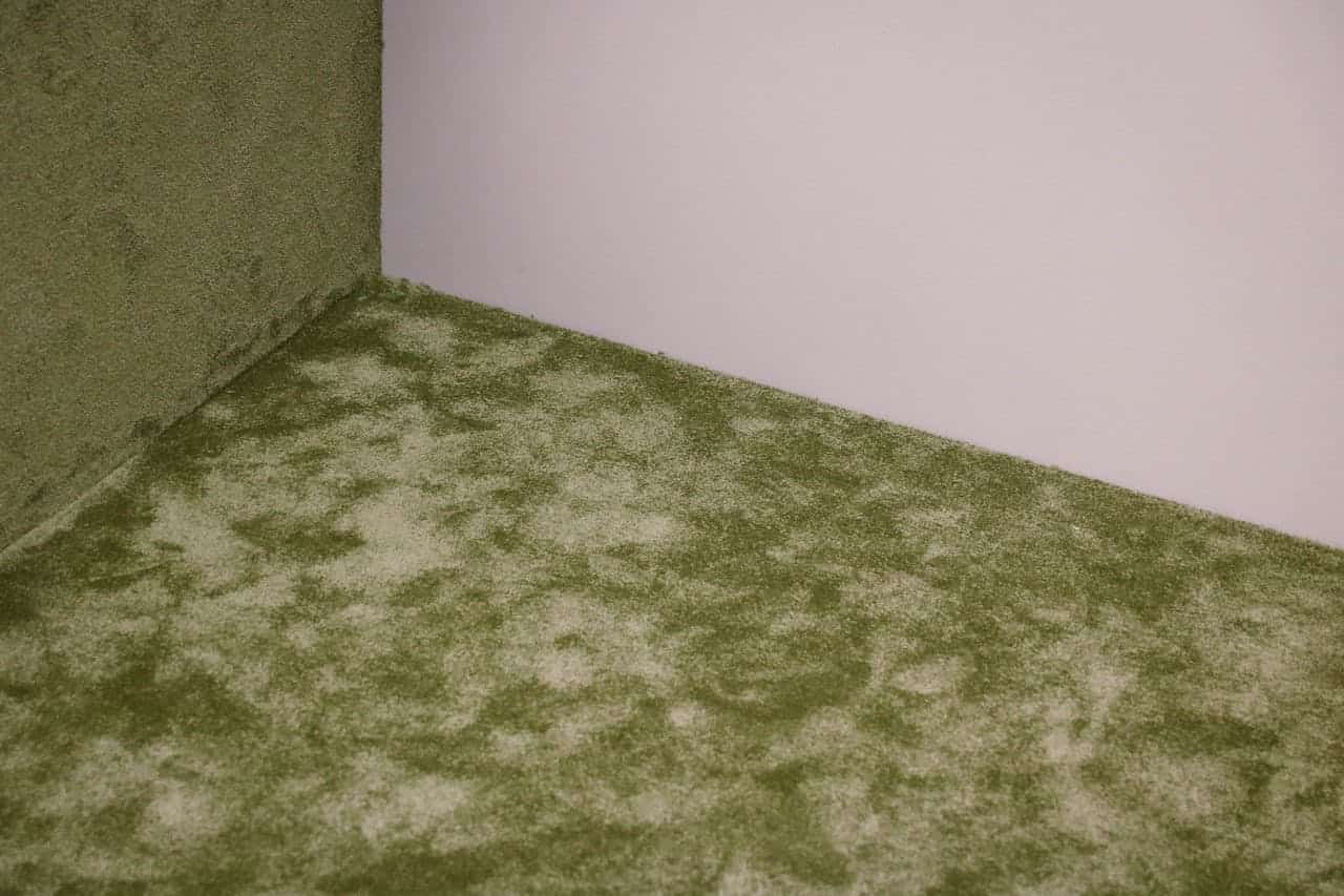 Corner of room with moss-green carpet showing uneven wear patterns against white walls
