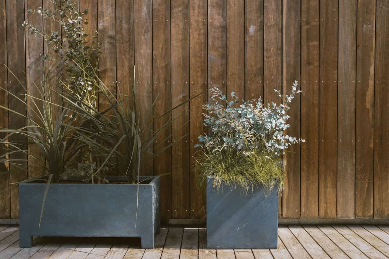 Two gray planters with ornamental grasses and delicate white flowers placed on wooden deck against weathered vertical wood fence