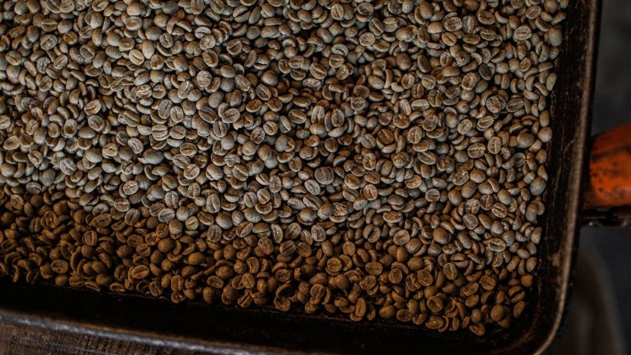 Tray filled with raw coffee beans showing color variations from light greenish-gray to darker brown, with visible center splits