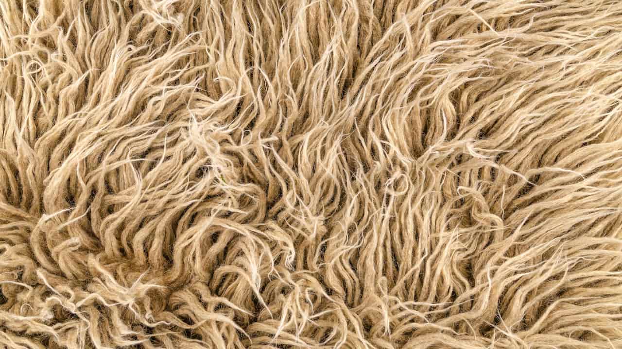 Close-up view of beige or light brown shaggy fabric or rug, long and twisted yarn fibers, soft and fuzzy texture, uneven pattern, natural wool-like material