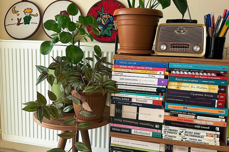 A stack of colorful books arranged on a wooden table, a potted plant with green leaves beside the books, a vintage radio and cup holder with colorful pens on top, embroidered artwork on the wall in the background, and a radiator partially visible behind the table