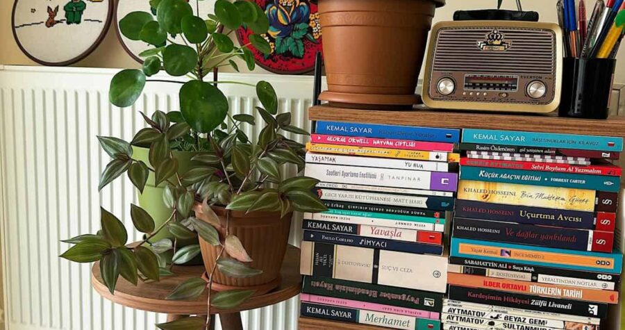 A stack of colorful books arranged on a wooden table, a potted plant with green leaves beside the books, a vintage radio and cup holder with colorful pens on top, embroidered artwork on the wall in the background, and a radiator partially visible behind the table