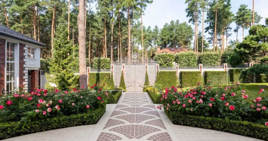 Elegant garden pathway with pink roses and trimmed low growing boxwood hedges leading to ornate gate, surrounded by tall pine trees