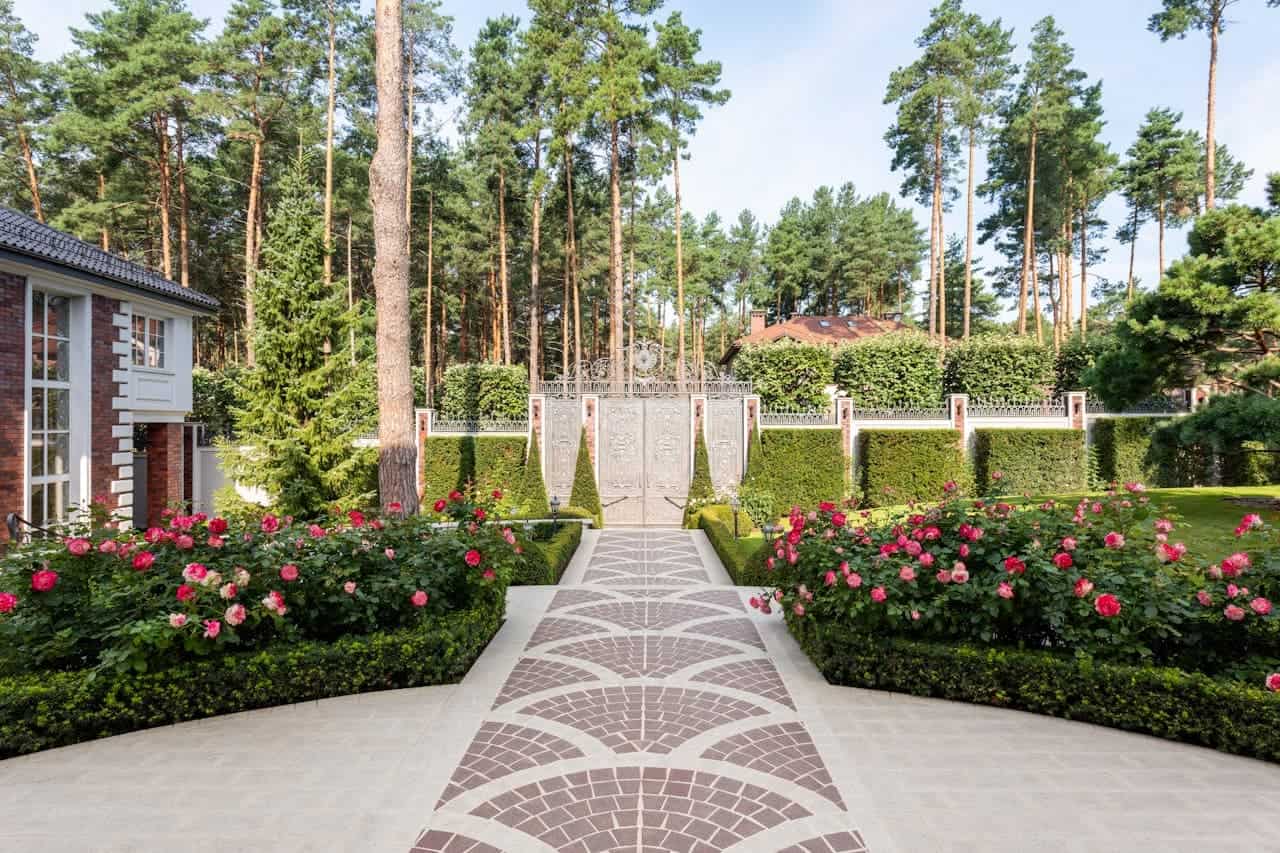 Elegant garden pathway with pink roses and trimmed low growing boxwood hedges leading to ornate gate, surrounded by tall pine trees