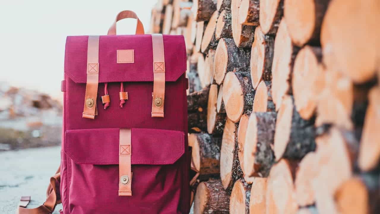 Red canvas backpack with tan leather straps and buckles leaning against stacked firewood in outdoor winter setting