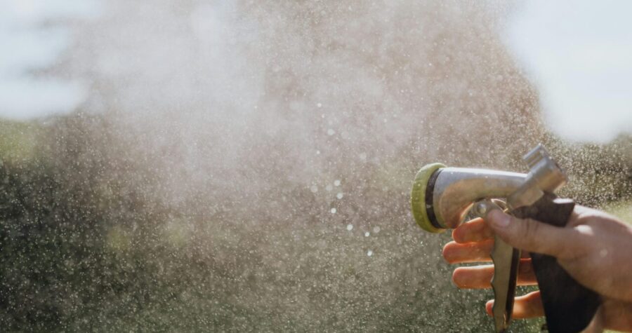 Hand holding a garden hose nozzle, spraying a fine mist in sunlight, outdoor setting, used for applying aphid-repelling solution, water droplets visible in the air