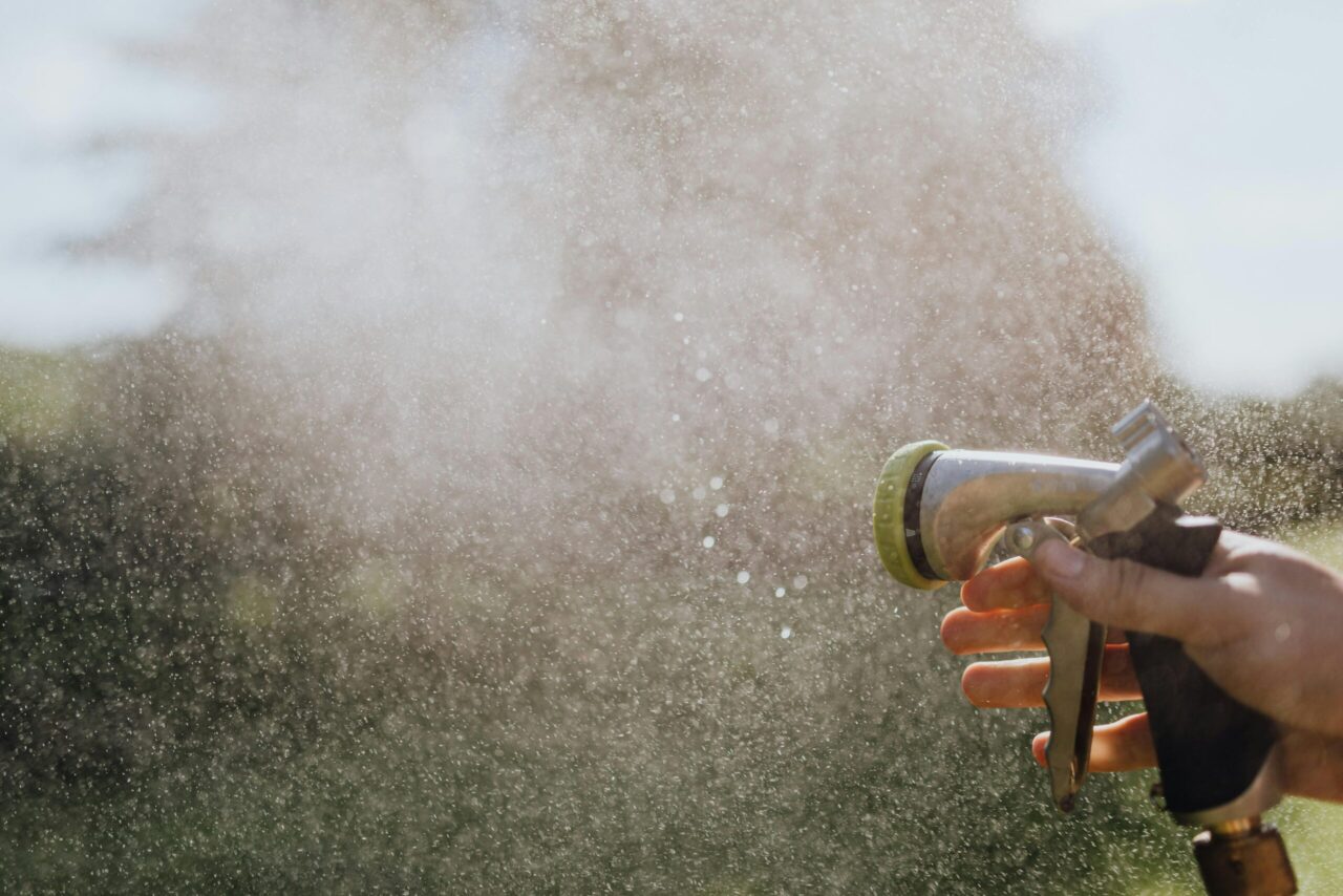 Hand holding a garden hose nozzle, spraying a fine mist in sunlight, outdoor setting, used for applying aphid-repelling solution, water droplets visible in the air
