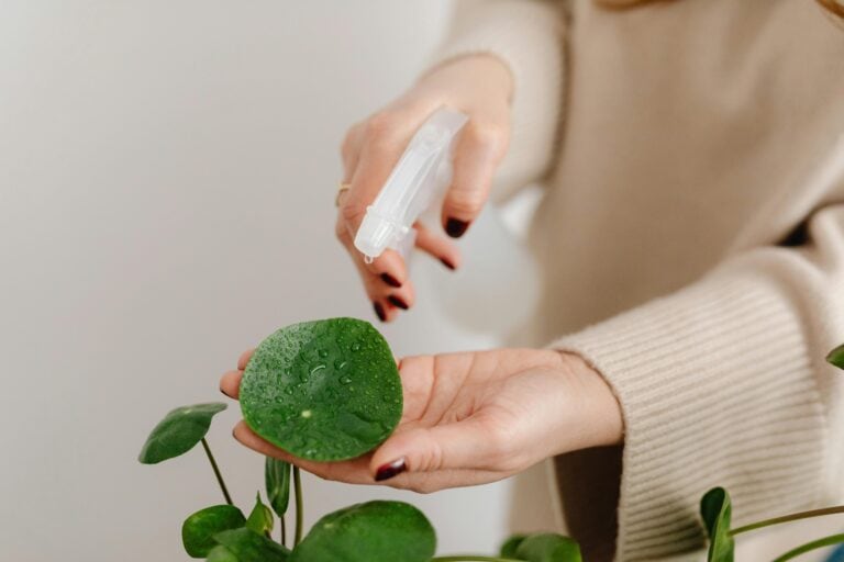 A person misting a green plant leaf with a spray bottle, water droplets visible on the leaf, wearing a beige sweater, light neutral background.