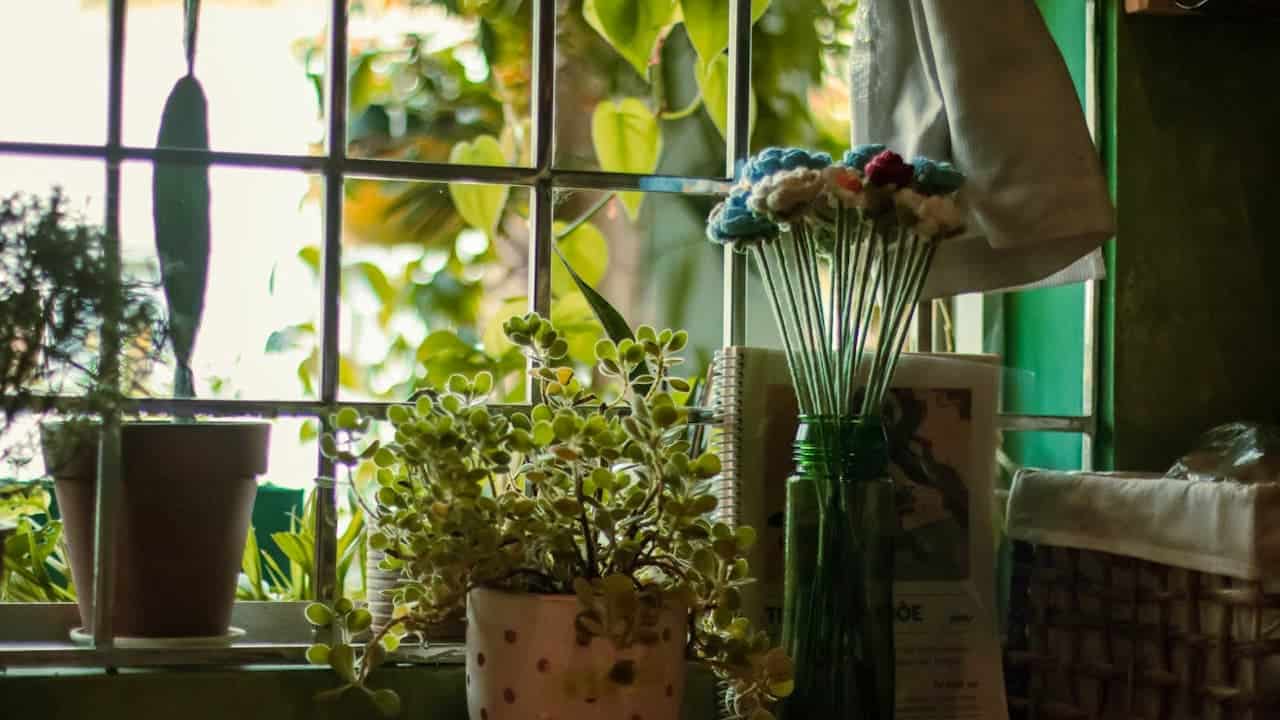 Kitchen windowsill scene with potted succulents, colorful wire whisk with pom-poms, green glass jar, and garden view
