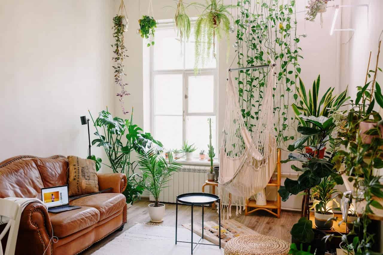 Cozy living room with brown leather sofa, abundant macrame hanging and potted plants surrounding a bright window with macramé decoration
