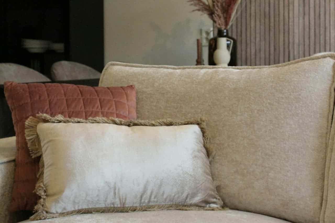 Cream sofa with decorative pillows - white fringed cushion and dusty rose velvet pillow, with vase and dried flowers behind