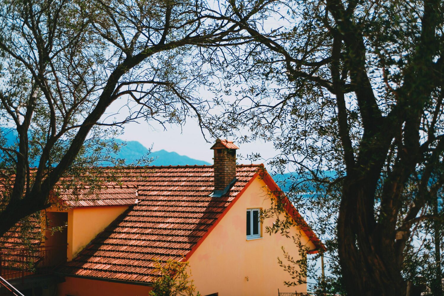 Yellow house with red-tiled roof, chimney in center, tree branches with green leaves arching over and touching the house, mountains and water in background