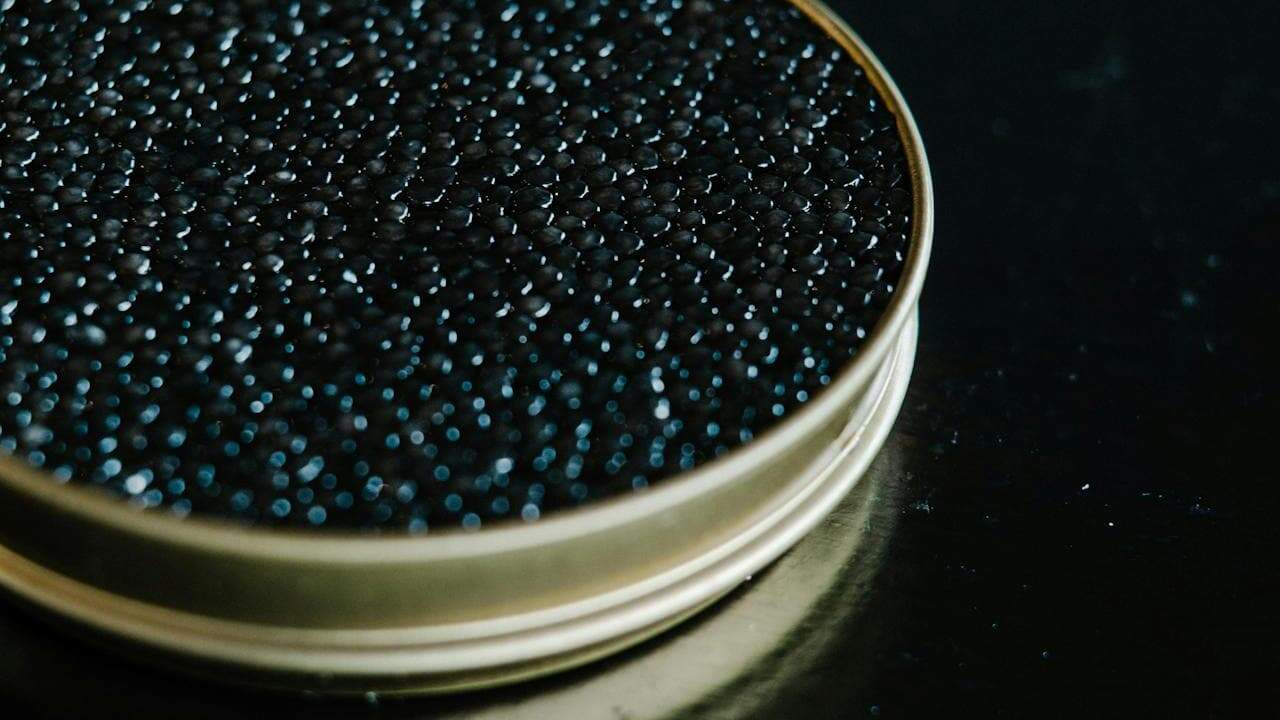 Close-up of Beluga Caviar in a gold-rimmed container, glistening spherical beads packed together against dark background