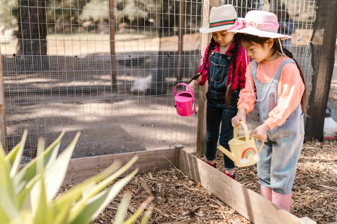 Two children in sun hats tending garden bed with pink and yellow watering cans amid wood chips and wire fencing