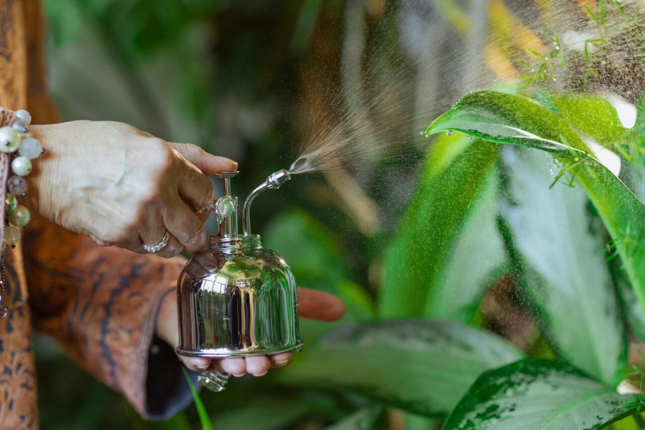 A person misting green plant leaves using a silver metal spray bottle, fine droplets visible, lush foliage in the background, indoor gardening scene.