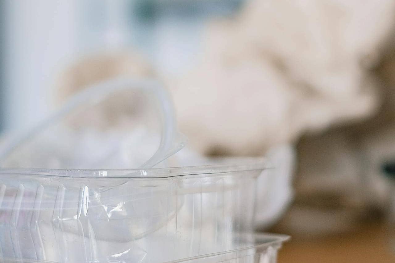 Close-up of clear plastic container in foreground with blurred white cat resting in background on light surface