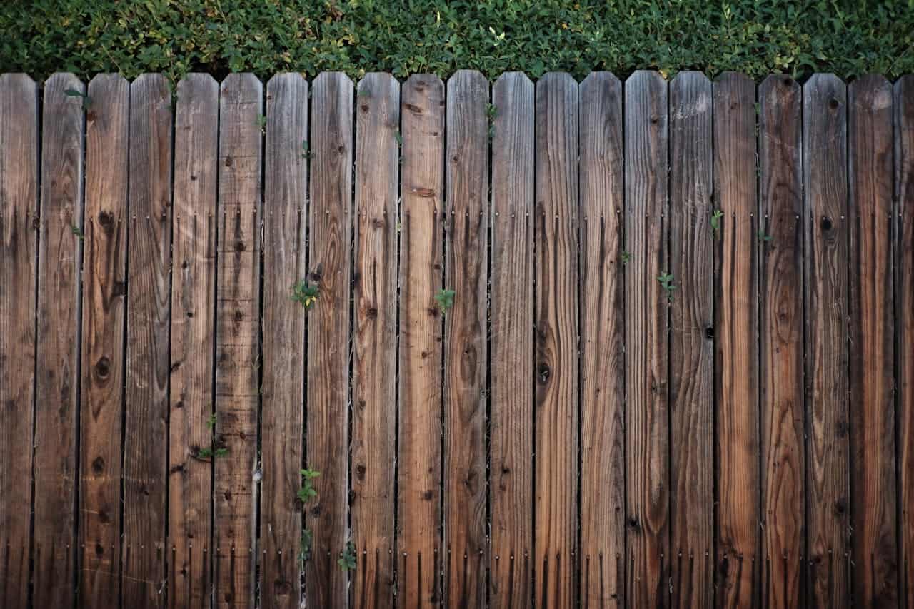 Cedar fence plank edging with vertical planks topped by lush green hedge foliage growing above it