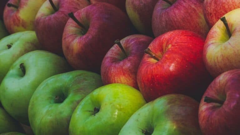 Close-up of fresh apples arranged together, showing a gradient of colors from bright green to deep red varieties