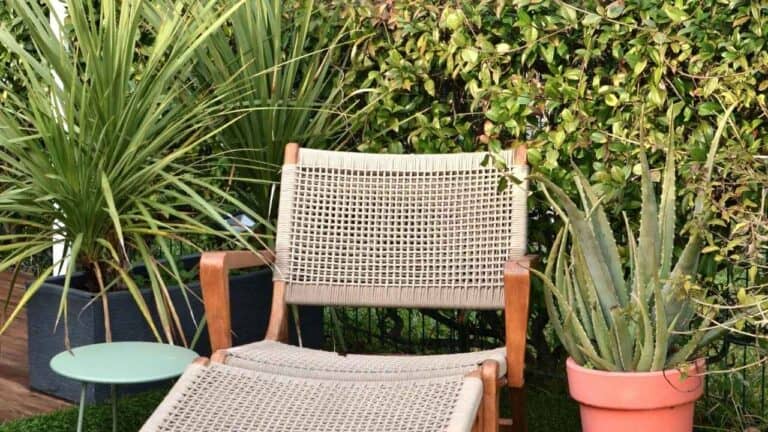 Woven rattan or wicker chair with wooden frame positioned outdoors among green tropical plants and palm fronds