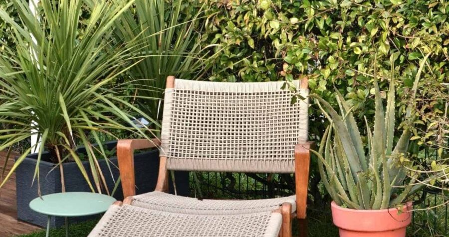Woven rattan or wicker chair with wooden frame positioned outdoors among green tropical plants and palm fronds