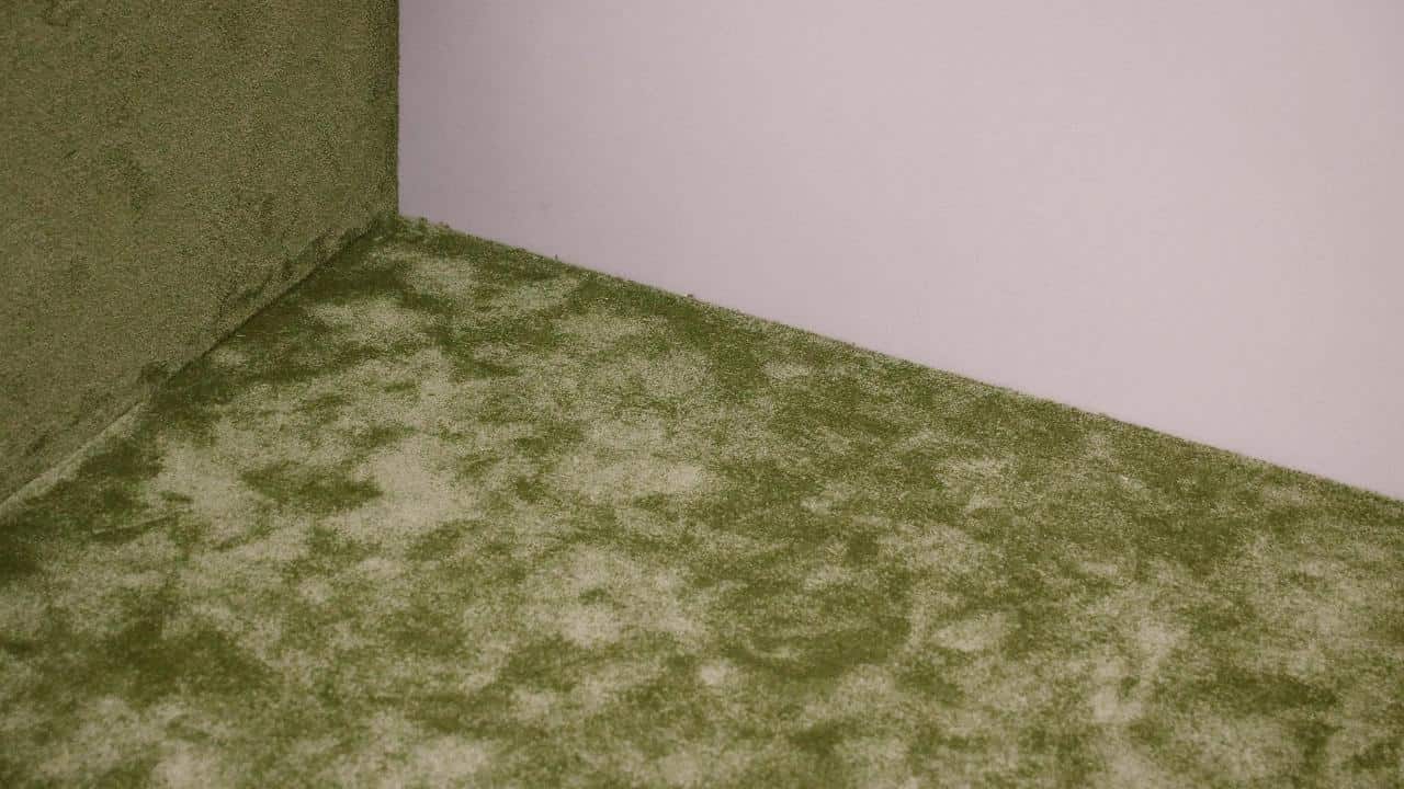 removing carpet flooring