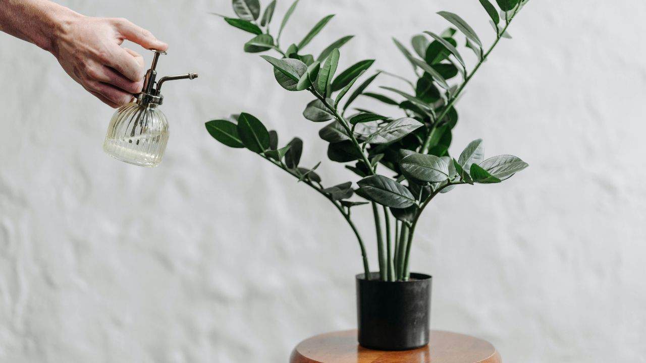 shallow watering garden