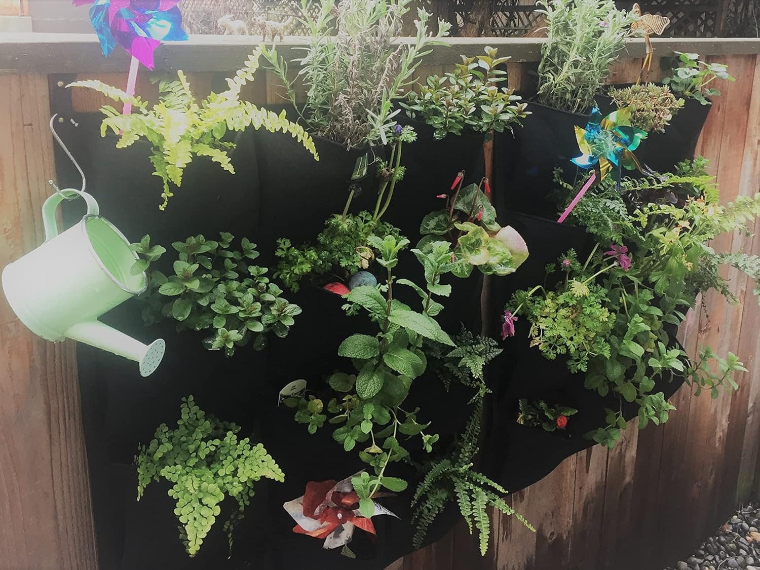 Vertical garden with black fabric planters against wooden fence, various herbs and plants including mint, rosemary, ferns, colorful pinwheels, mint green watering can hanging on side