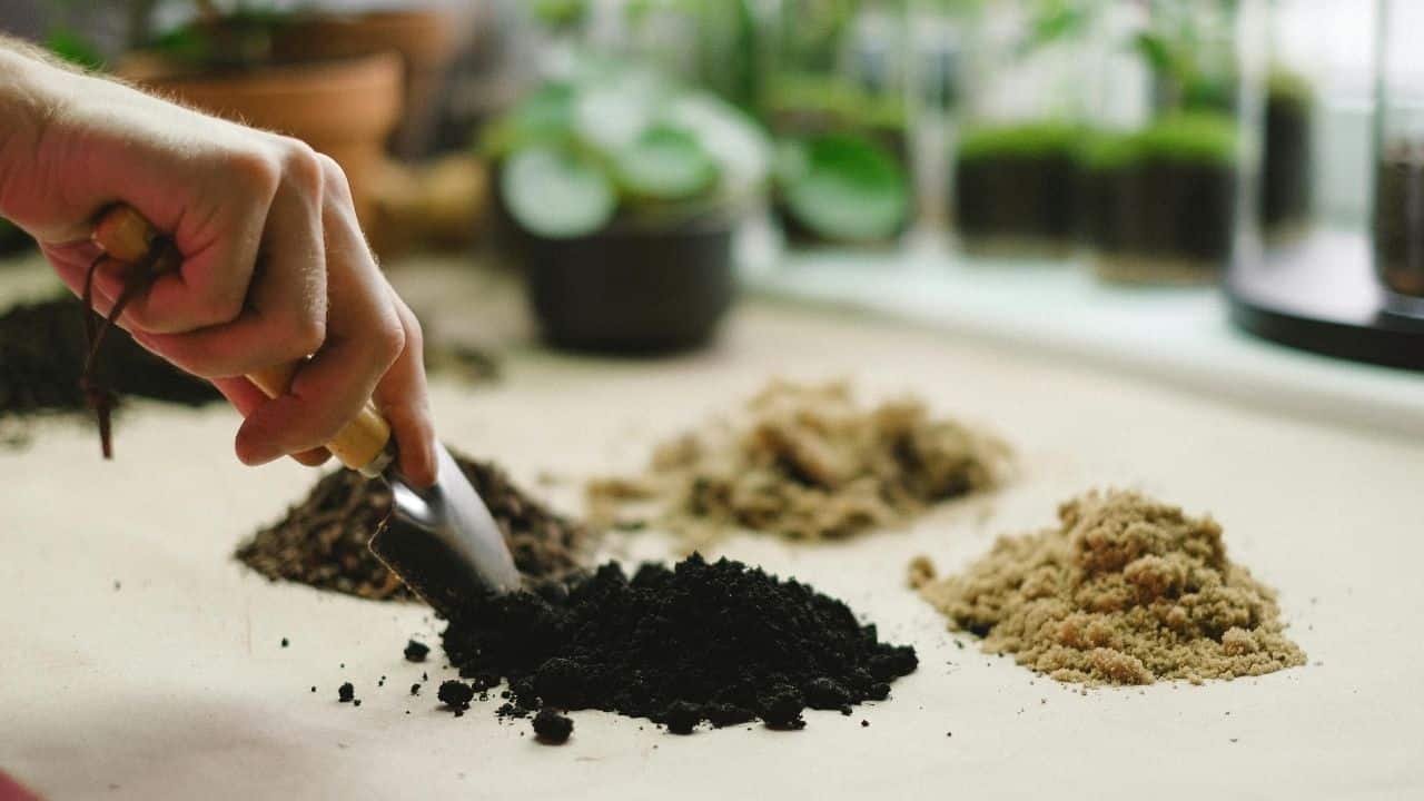 Hand scooping dark soil, piles of different soil types, indoor plants in background, gardening setup