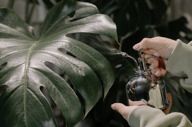 12 Garden Hacks You’ll Wish You Knew Sooner