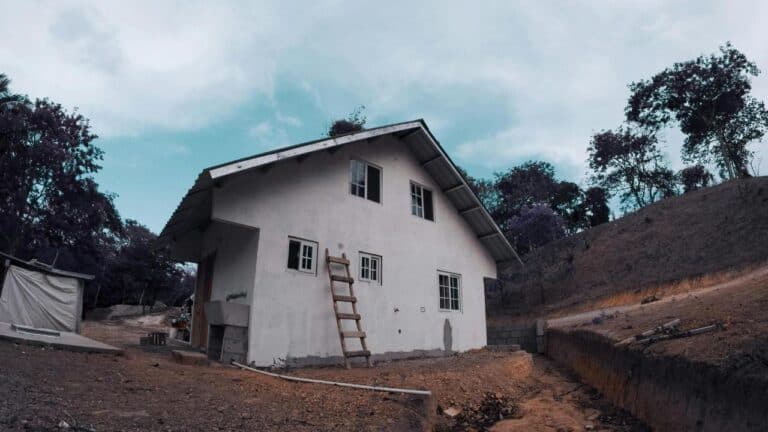 trees damaging house foundation