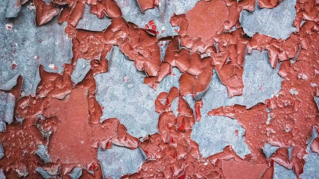 Image Credit: Pexels.