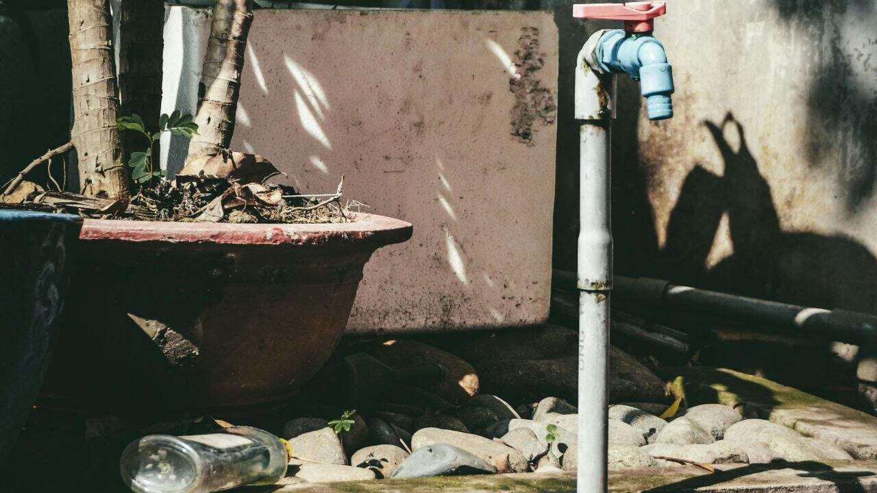 watering plants with tap water