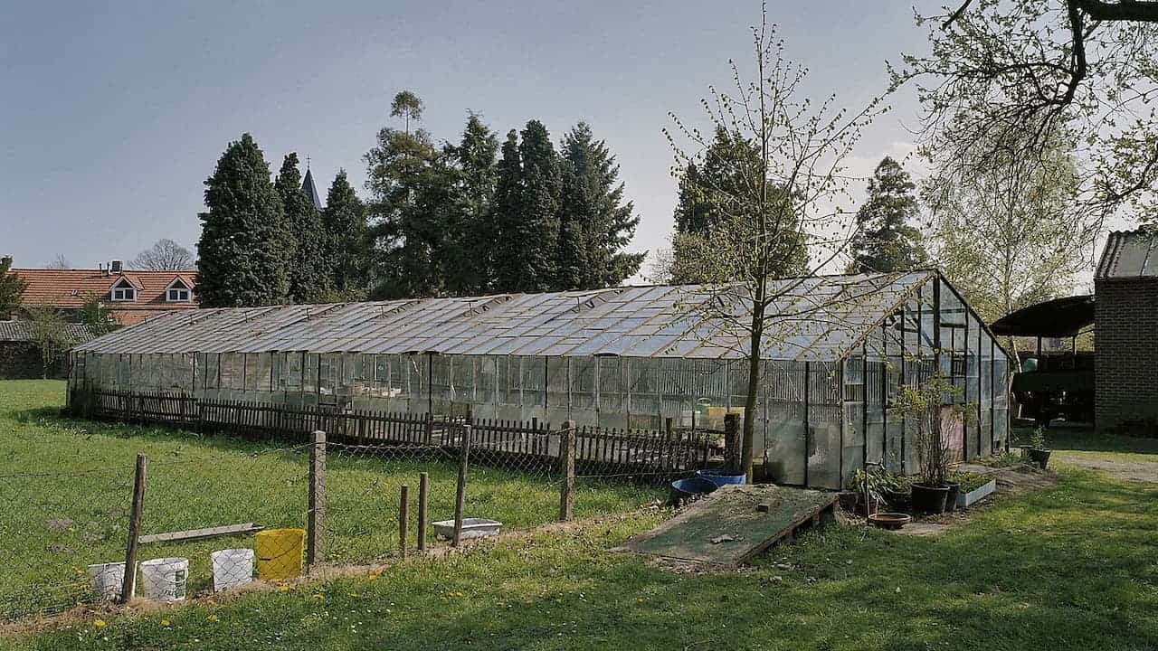 Large glass greenhouse with metal frame surrounded by wooden fence, trees, and residential buildings in rural setting