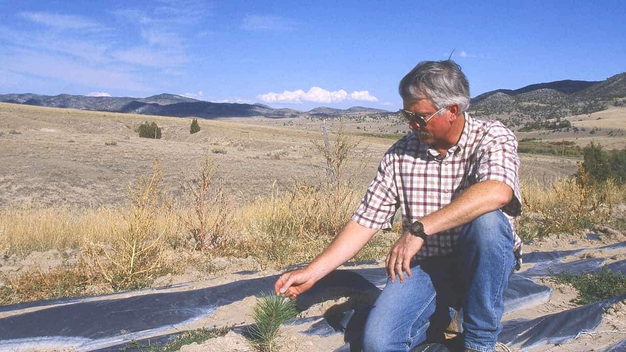 Man in plaid shirt kneeling on black plastic weed barrier fabric in desert landscape with mountains and blue sky