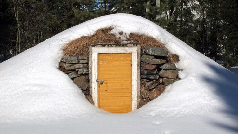 Snow-covered root cellar with wooden door, stone walls, and thatched roof emerging from hillside in winter forest setting