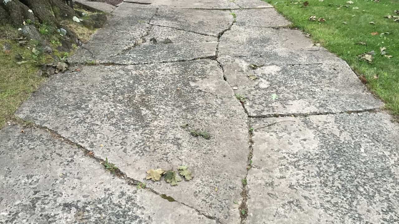 Heavily cracked concrete driveway with multiple fractures, weeds growing through joints, surrounded by grass and tree roots causing structural damage