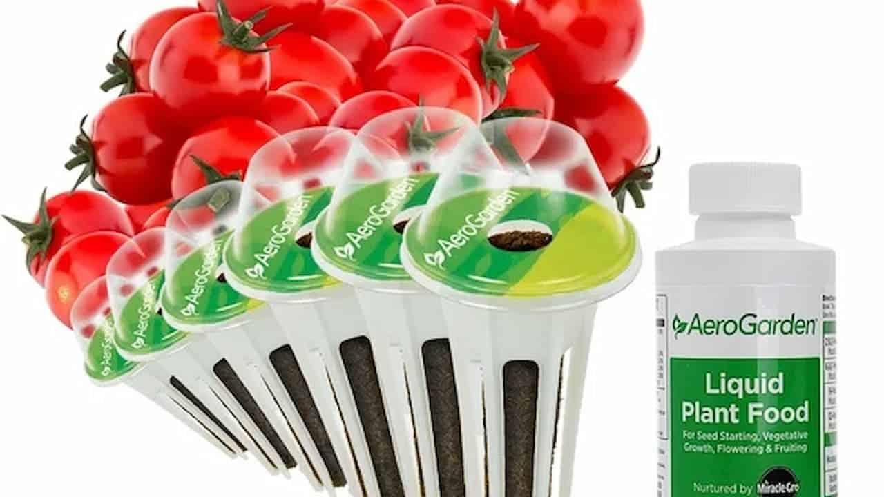 A cluster of red cherry tomatoes behind a fan arrangement of AeroGarden seed pods labeled “AeroGarden,” next to a bottle of AeroGarden liquid plant food