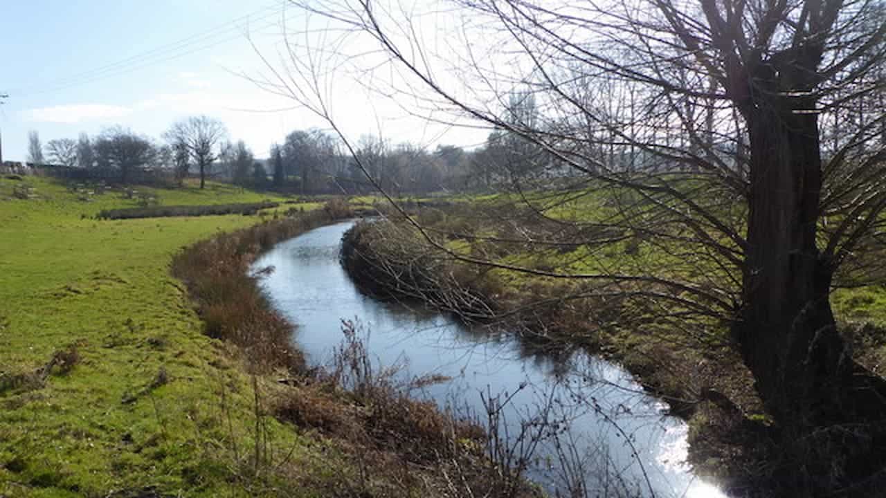 Swale drainage channel through green countryside with bare winter trees, grassy fields, and natural drainage swale system
