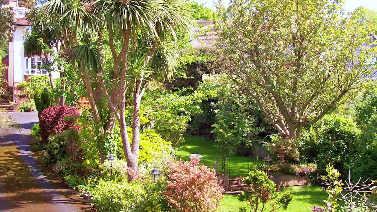 Lush garden with tall palm trees, colorful foliage, green lawn, and diverse tropical and temperate plants creating layered landscape