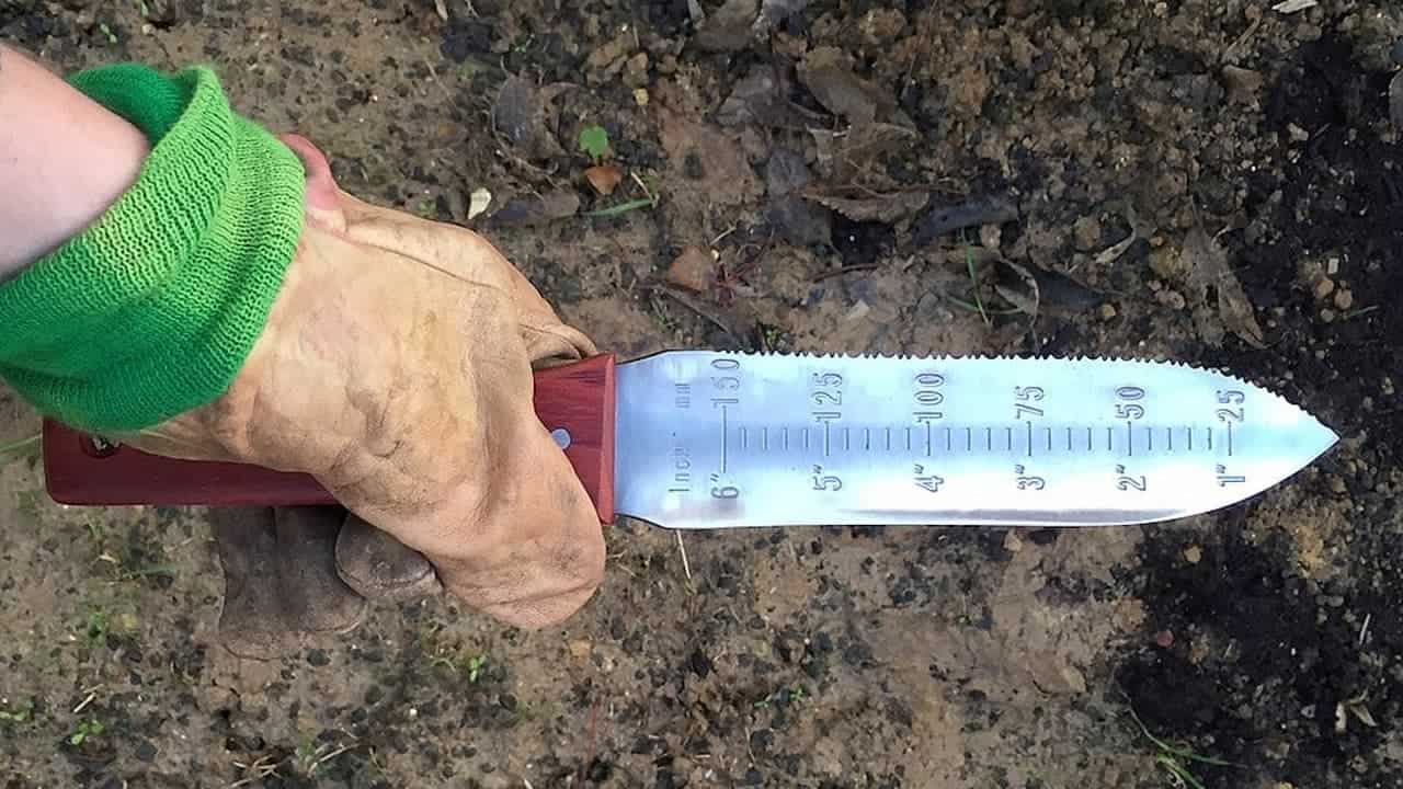 Hand wearing green glove holding metal measuring ruler against dark soil, fallen leaves, outdoor ground measurement tool