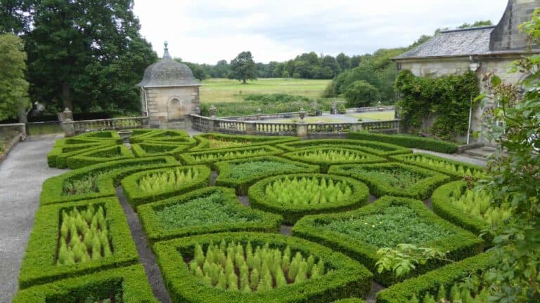 Parterre garden with symmetrical, geometric planting beds outlined by low hedges and filled with ornamental plants