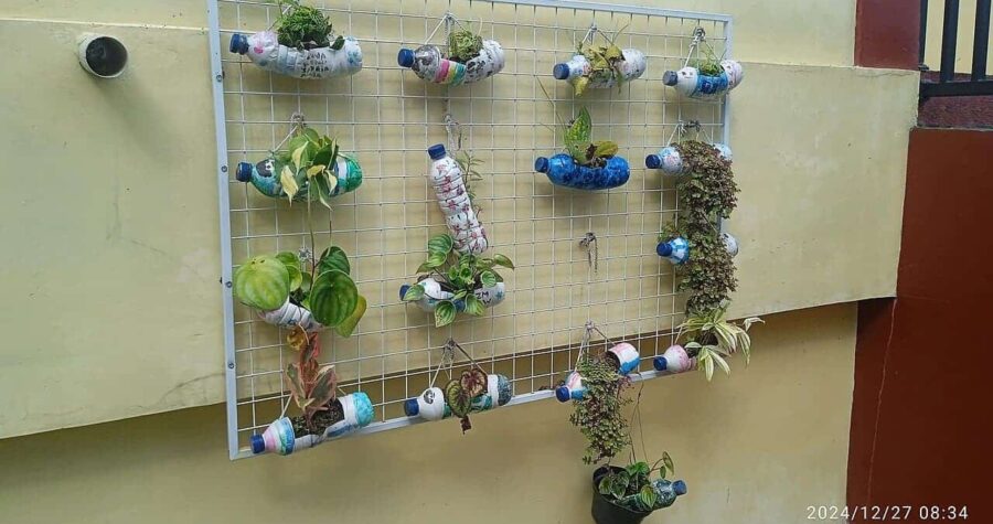 Vertical garden made from recycled plastic bottles hanging on metal grid against yellow wall, various plants growing in upcycled containers
