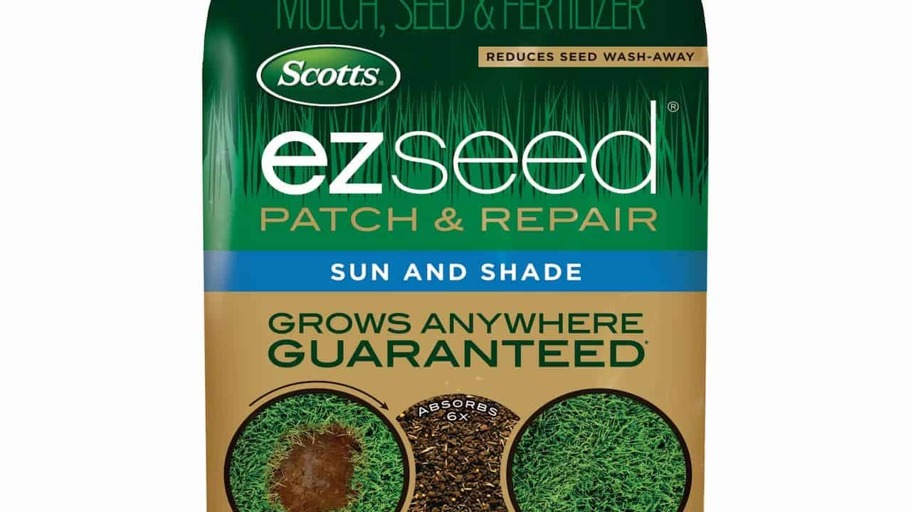 A container of Scotts EZ Seed Patch & Repair Mix placed near a patchy lawn