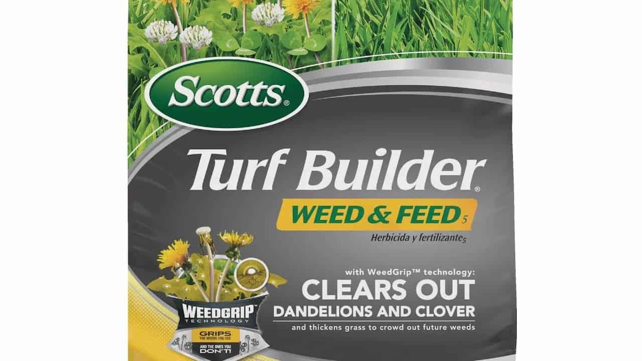A bag of Scotts Turf Builder Weed & Feed placed on a green lawn