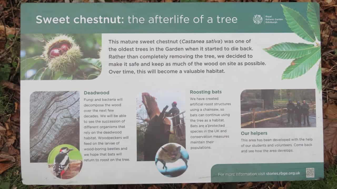 A garden marker labeled "Chestnut" placed in soil