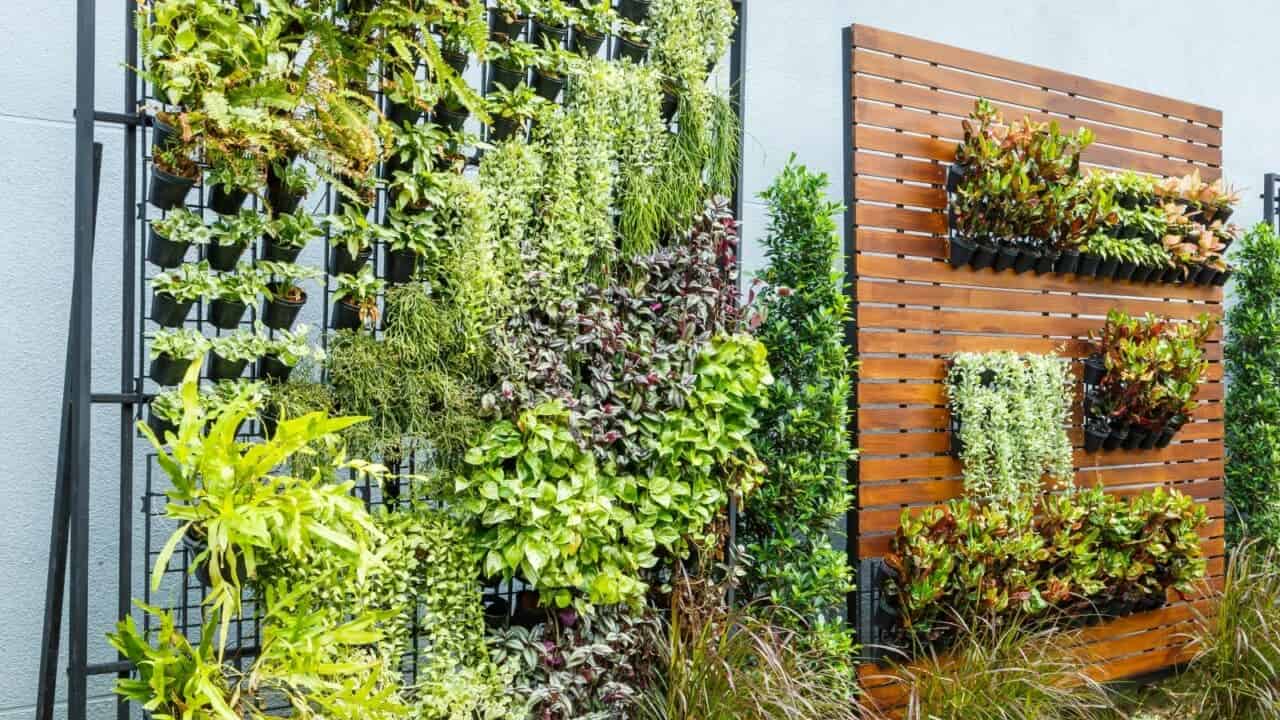 Vertical garden wall with lush green plants, herbs, vegetables in modular planters, modern urban gardening system, outdoor installation